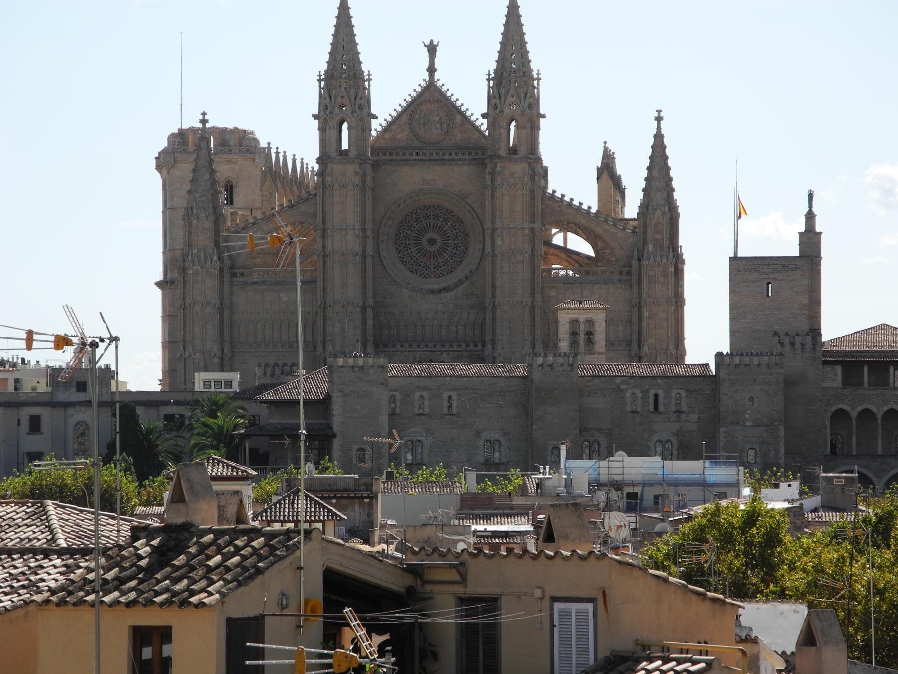 Palma Kathedrale